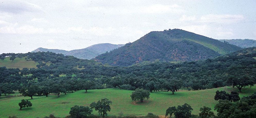 Parquenaturalaracena copia