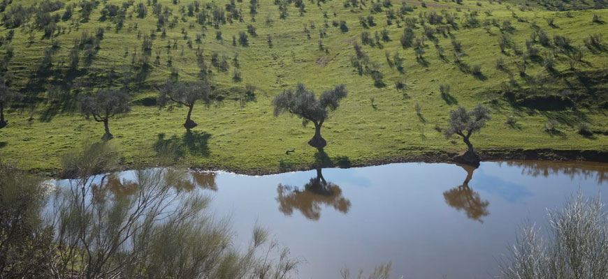 Aracena naturaleza